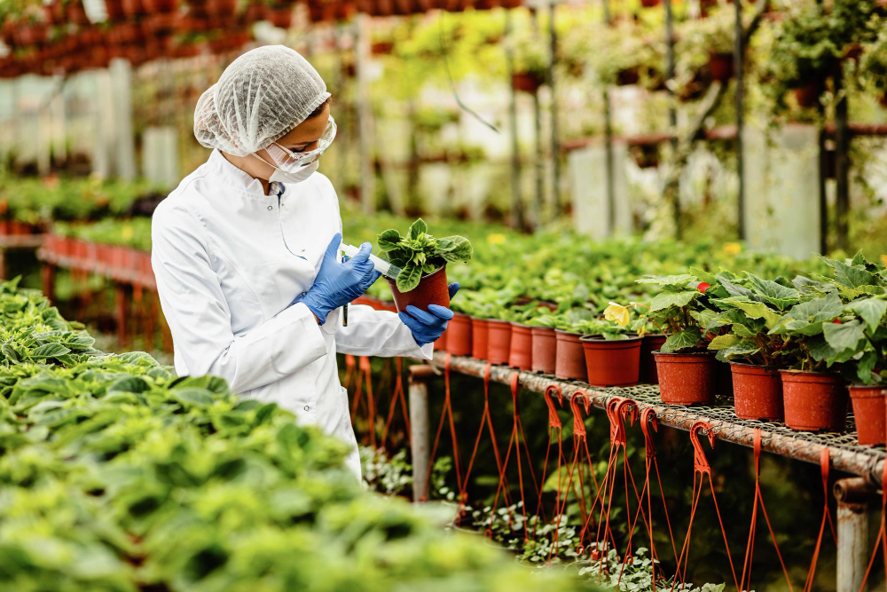 SAP Business One Supports Growth for a Sustainable Commodity Business